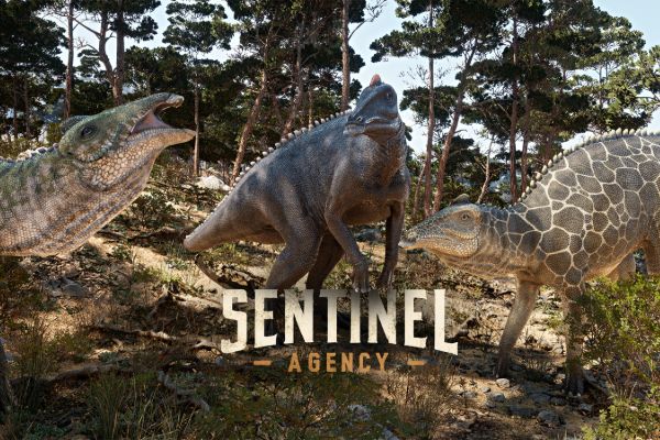 Sentinel agency